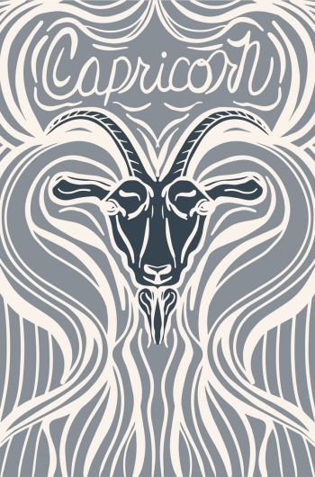 Capricorn Zodiac 10th House Symbol Pattern whimsical illustration