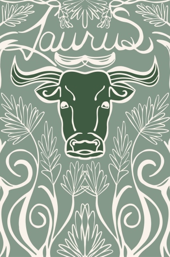 Taurus Zodiac 2nd House Bull Symbol Pattern whimsical illustration