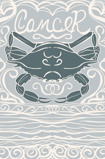 Cancer Zodiac 4th House Crab Symbol Pattern whimsical illustration