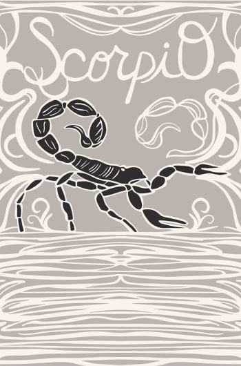 Scorpio Zodiac 8th House Scorpion Symbol Pattern whimsical illustration