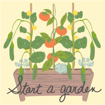 Start a Garden Sustainability Tip hand drawn pen and ink, digital colored illustration