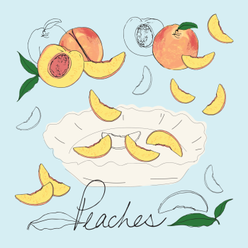 Peaches and Peach Pie hand drawn pen and ink, digital colored illustration