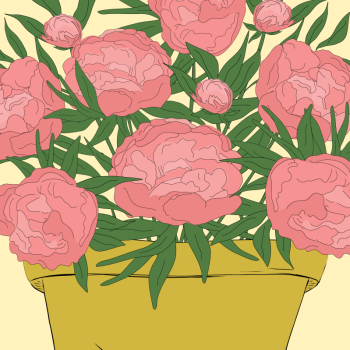 Pink Coral Peonies in Flowerpot hand drawn pen and ink, digital colored illustration
