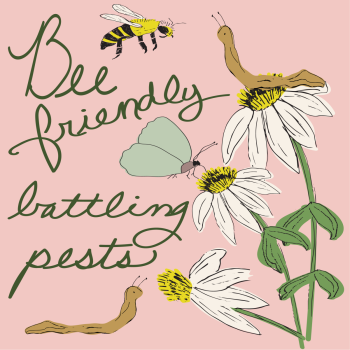 Bee Friendly Battling Pests Sustainable Living Tip hand drawn pen and ink, digital colored illustration