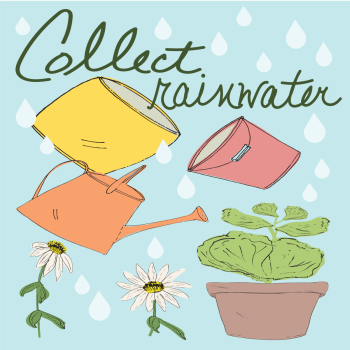 Collect Rainwater Watering Can, Bucket Eco Living Tip hand drawn pen and ink, digital colored illustration