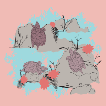 Turtles at Rose Creek with Flowers, Rocks, Ferns on Pink background hand drawn pen and ink, digital colored children's book illustration