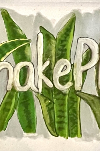 Houseplant Mother in Laws Tongue, Snake Plant illustration with hand lettering